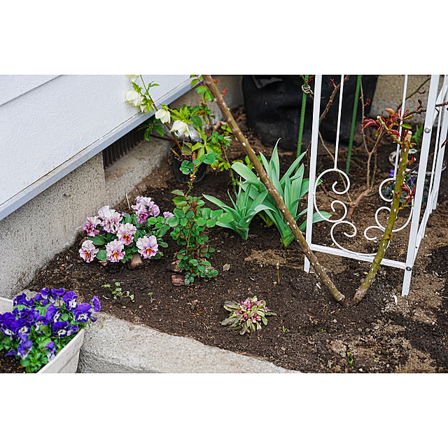 haruisabelさんの部屋