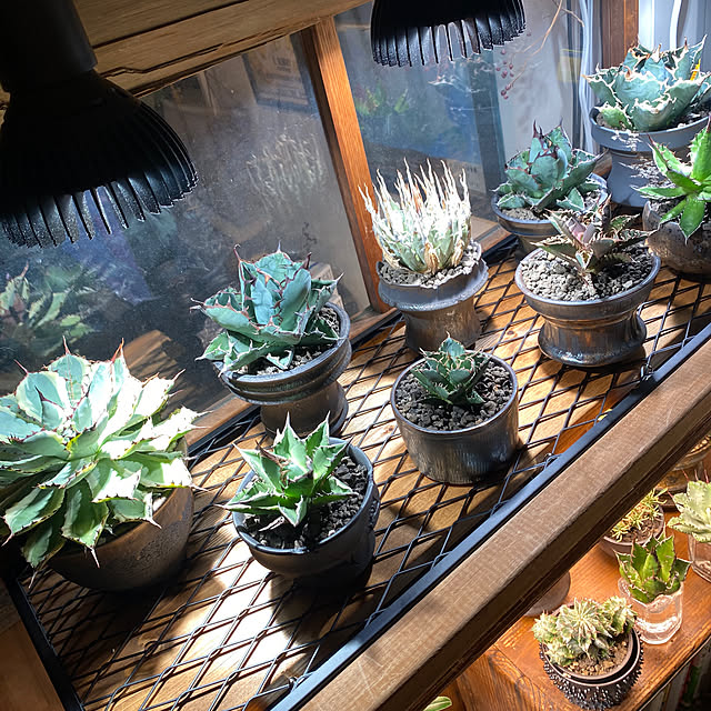 pokkoさんの部屋