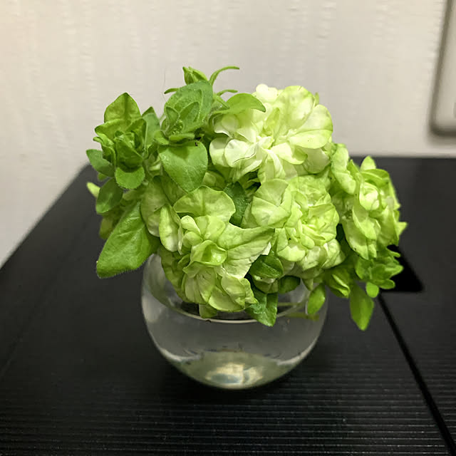 eshinobumさんの部屋