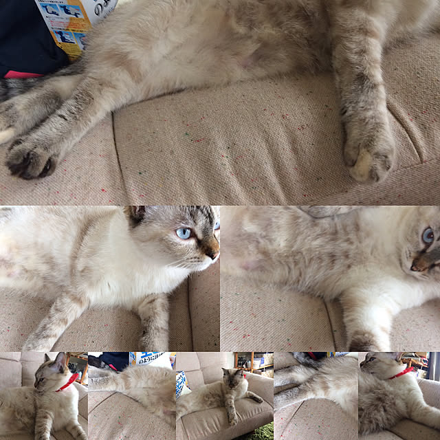 nachuさんの実例写真