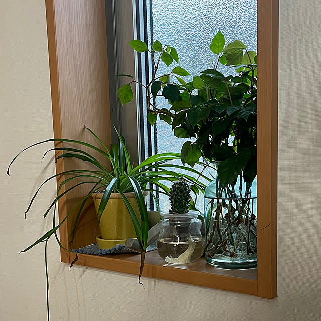 nanachanmamaさんの実例写真