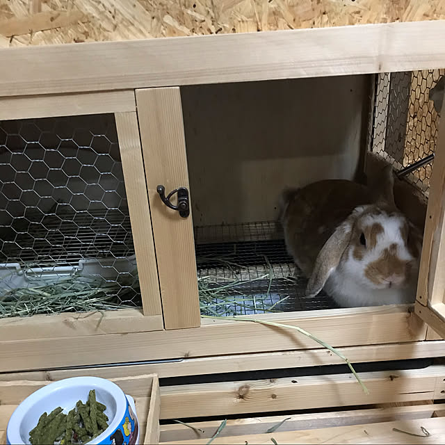 RABIHAさんの実例写真