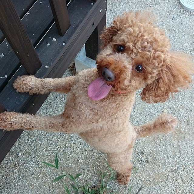 fukiさんの実例写真