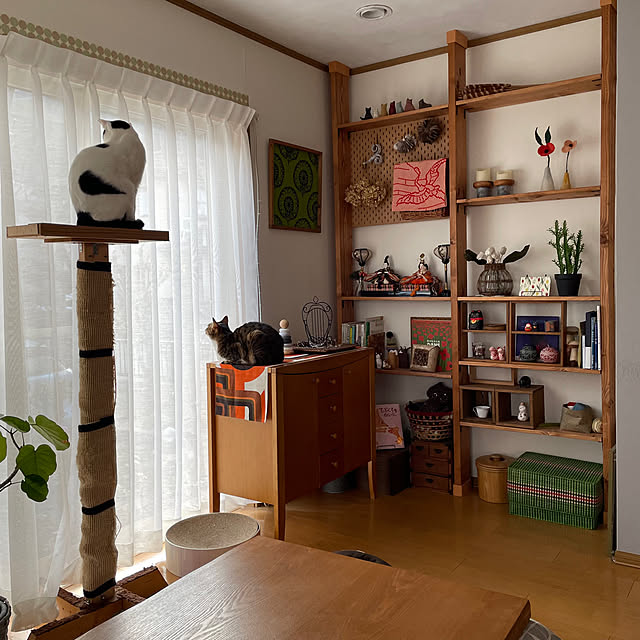 nobikoさんの部屋