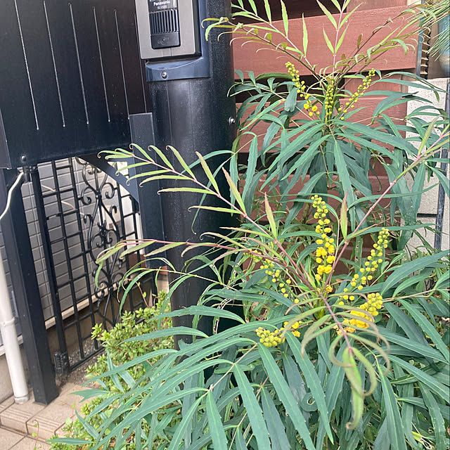 kayokos0801さんの実例写真