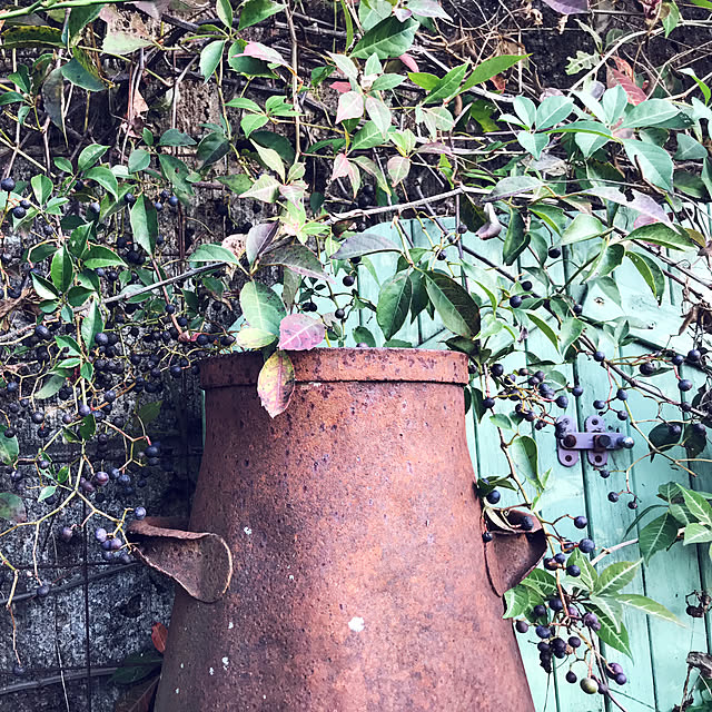 TOROさんの実例写真