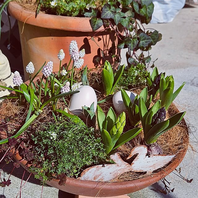 mocomocoさんの部屋