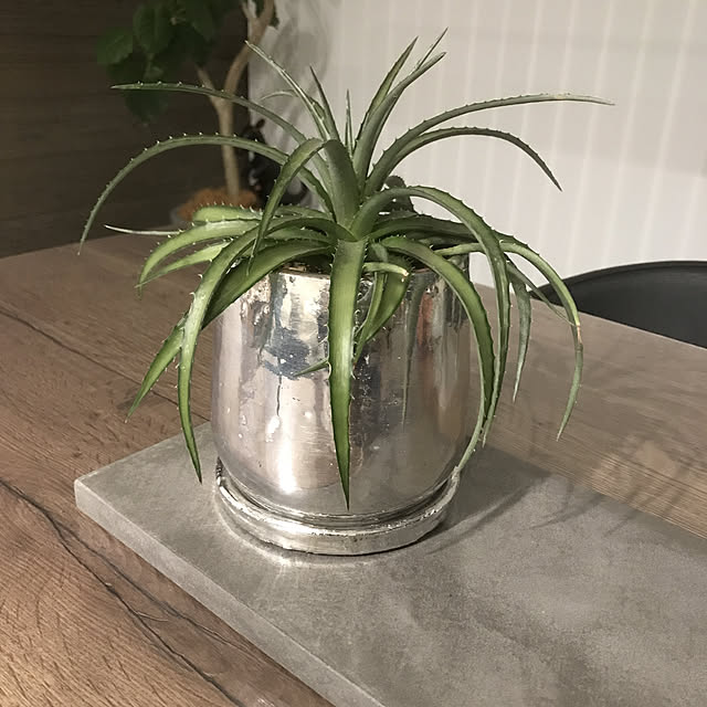 zero-kara.1209さんの実例写真