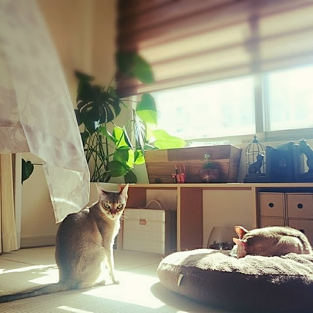 Jcさんの実例写真
