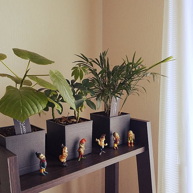 atu.さんの実例写真