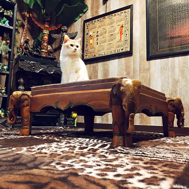 kobakissaさんの実例写真