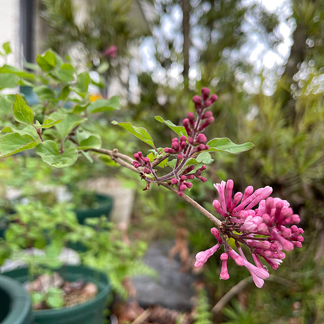 natsumiさんの部屋