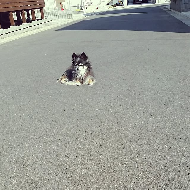nia1213さんの実例写真