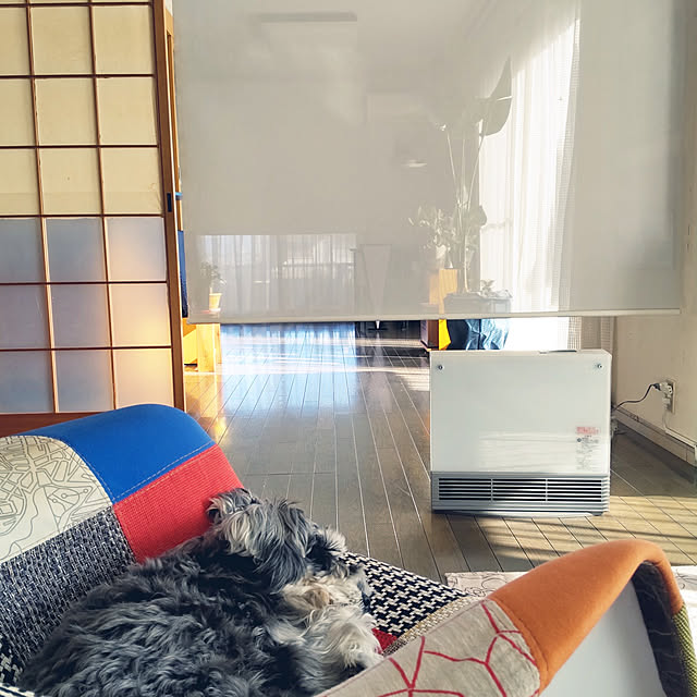 ampinさんの実例写真