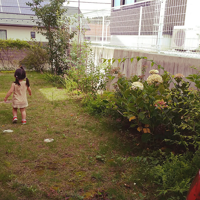 実例写真