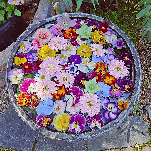 mocomocoさんの部屋