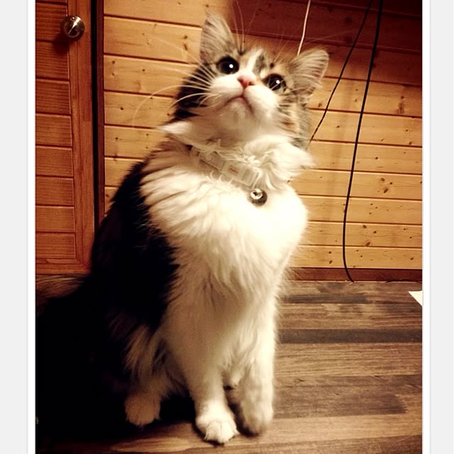 Realiser_son_reveさんの実例写真