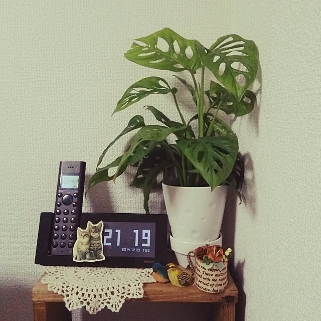 Masamiさんの実例写真