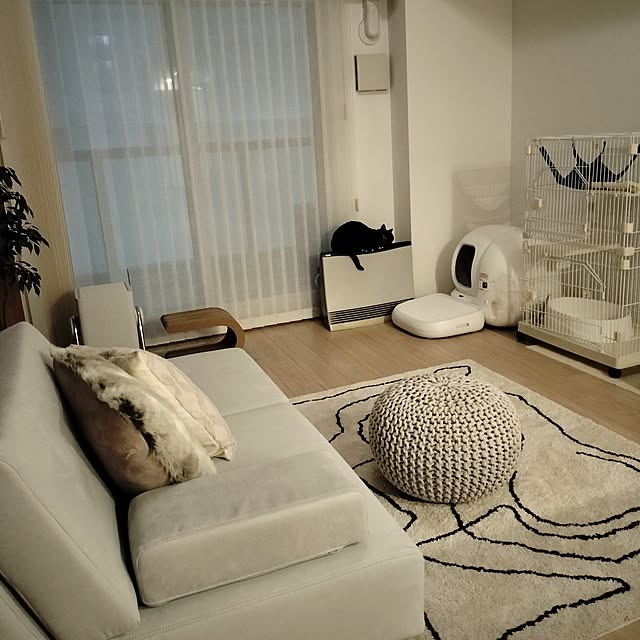 sakuraさんの部屋