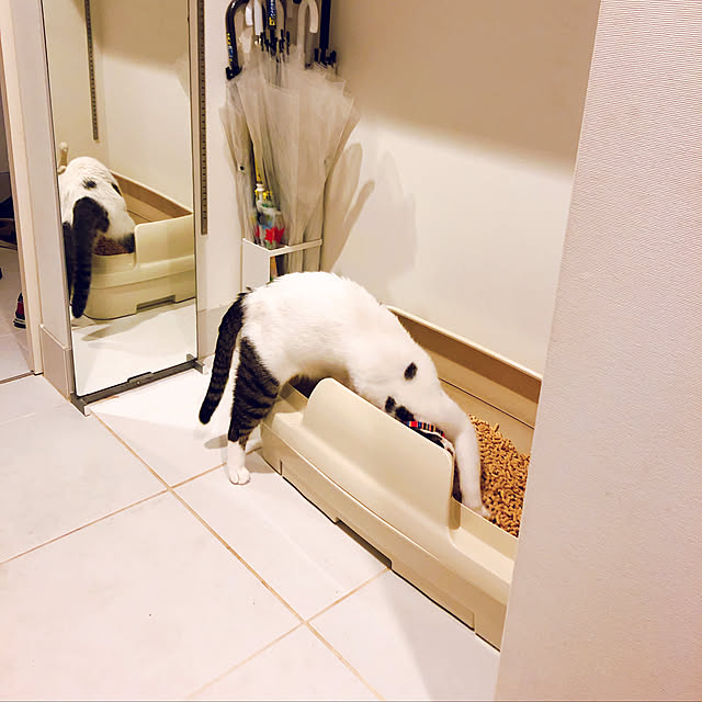 yukimiさんの実例写真