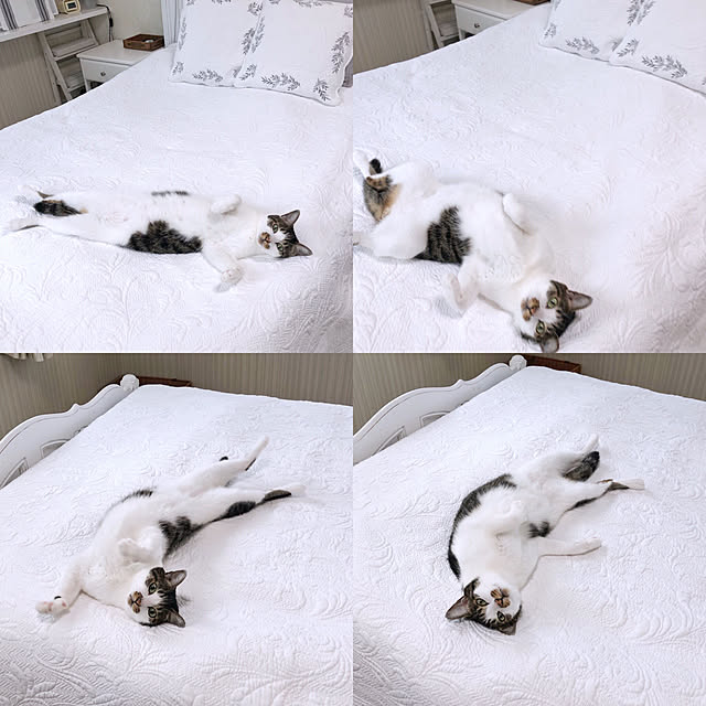 yuchiさんの実例写真