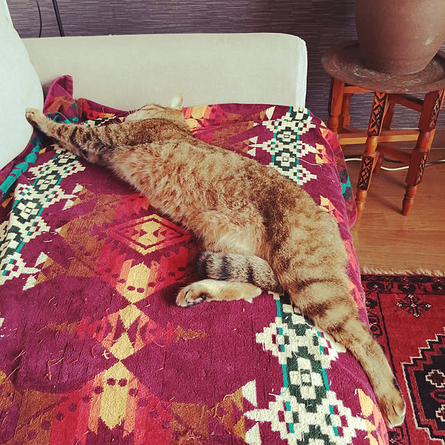 nahocさんの実例写真