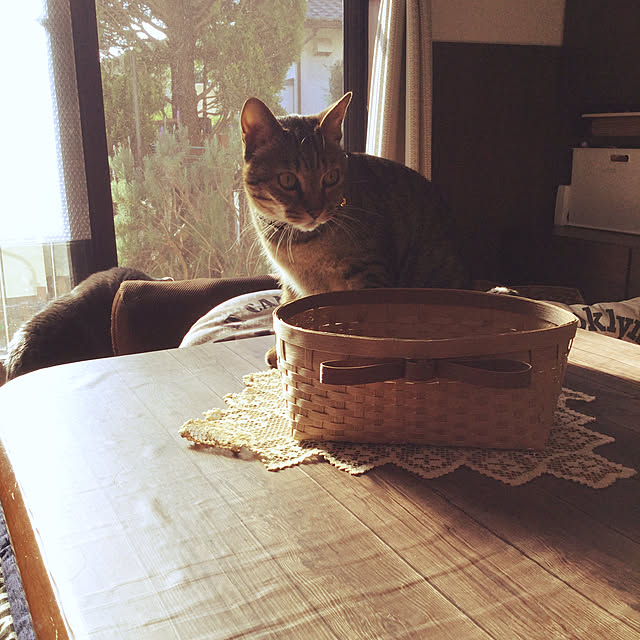 chikaさんの実例写真