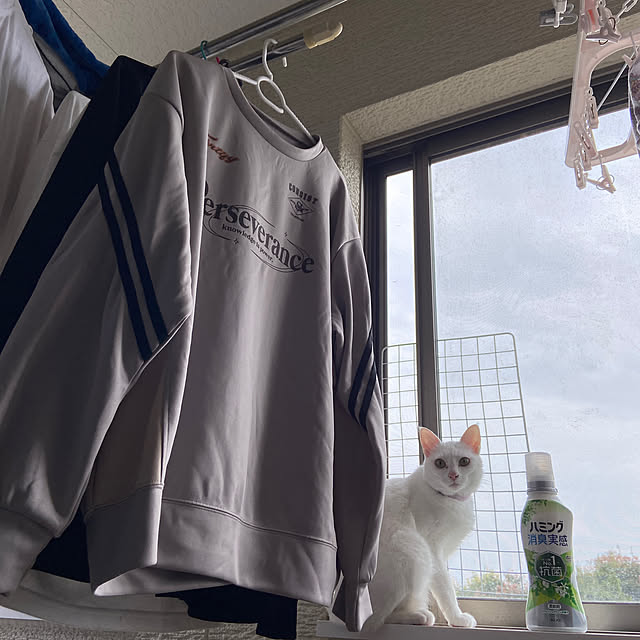 arashi530さんの実例写真