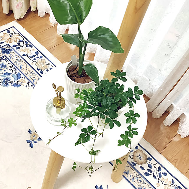 haruminさんの部屋