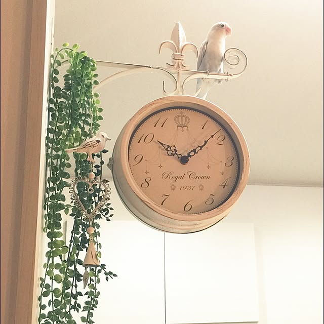 hanakoさんの実例写真