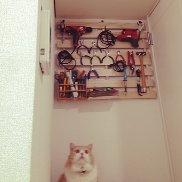 gomachanさんの実例写真