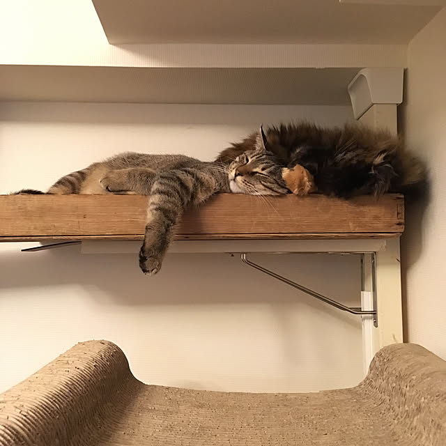 mikomaruさんの実例写真