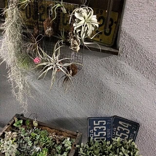 NaoLovesMikuさんの実例写真