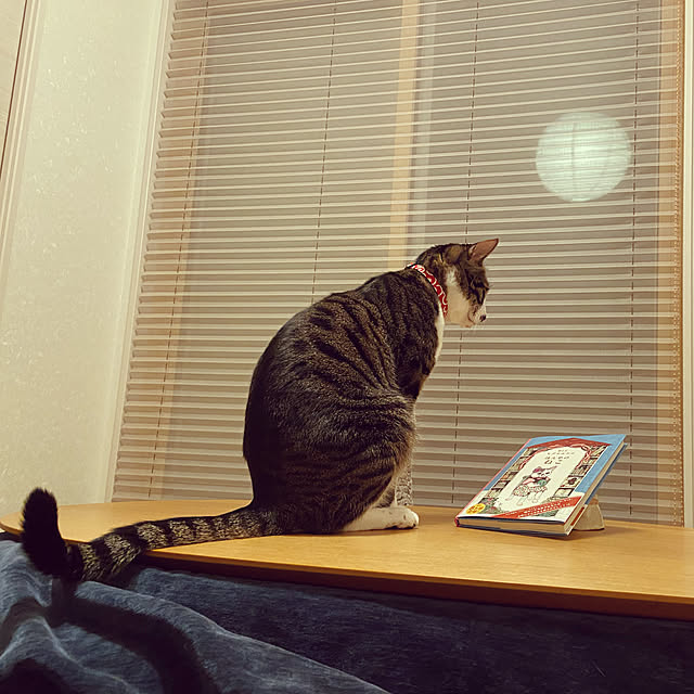 ippu0303Karinさんの実例写真