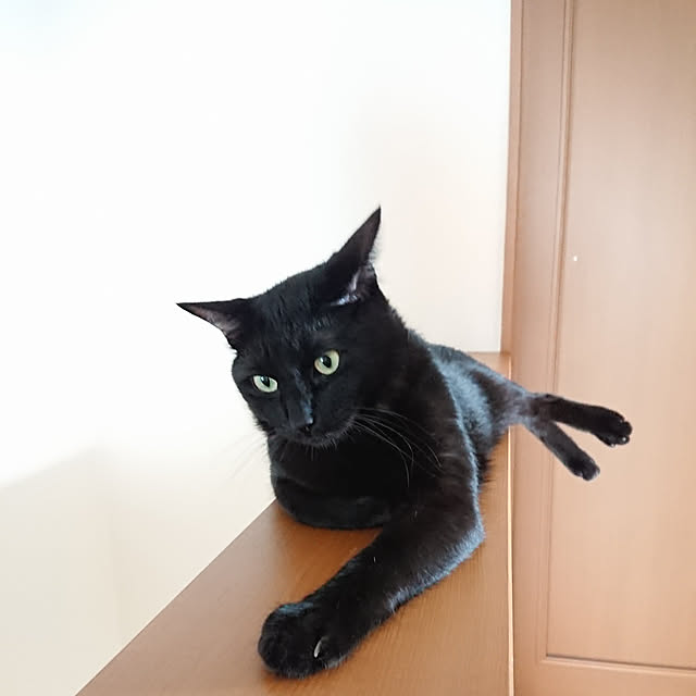 maikyさんの実例写真
