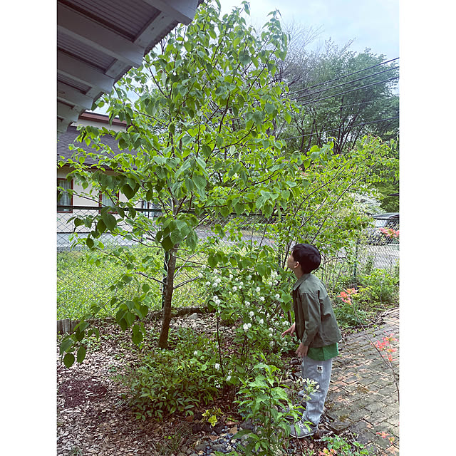marucoさんの部屋