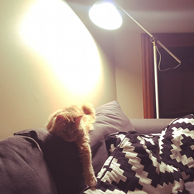 Keiさんの実例写真