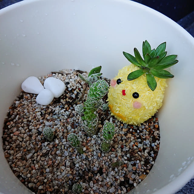 chiiさんの実例写真