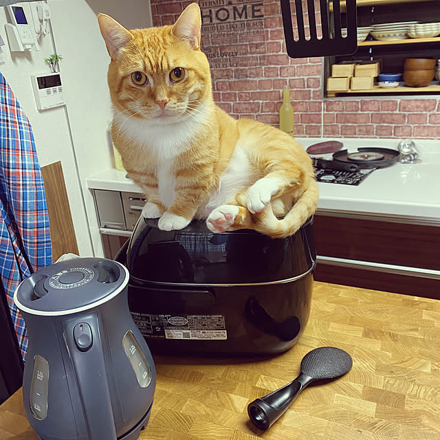 touchinさんの実例写真