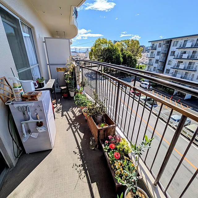 mi-saさんの実例写真