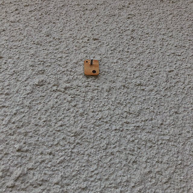 pirokoさんの実例写真