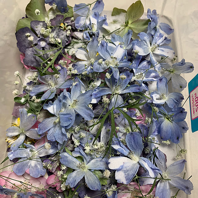 chocomamaさんの部屋