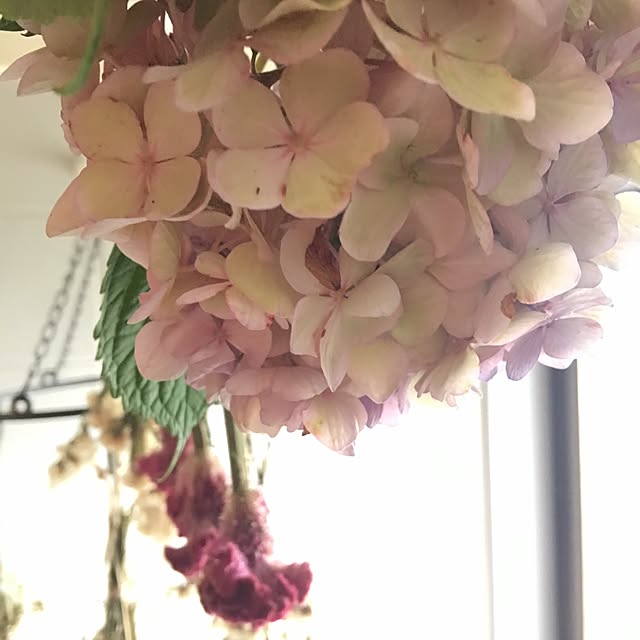takaさんの実例写真