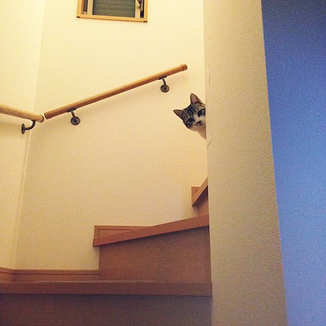 RIKAYURAさんの実例写真