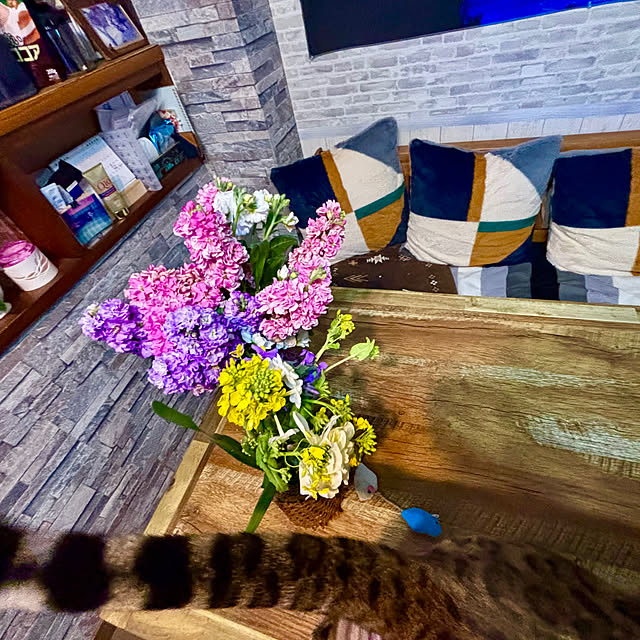 tututu0204さんの部屋