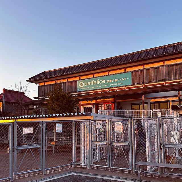 chacoさんの部屋