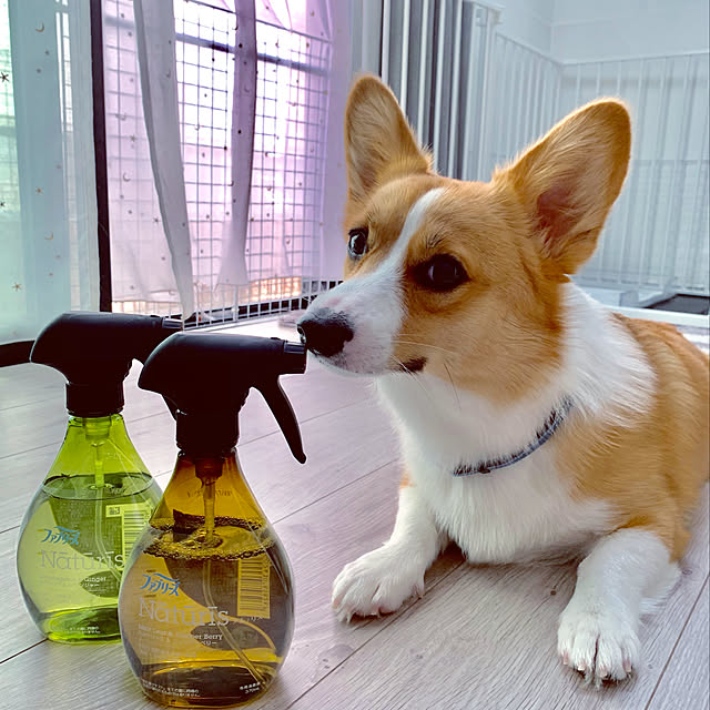 3ayuさんの実例写真