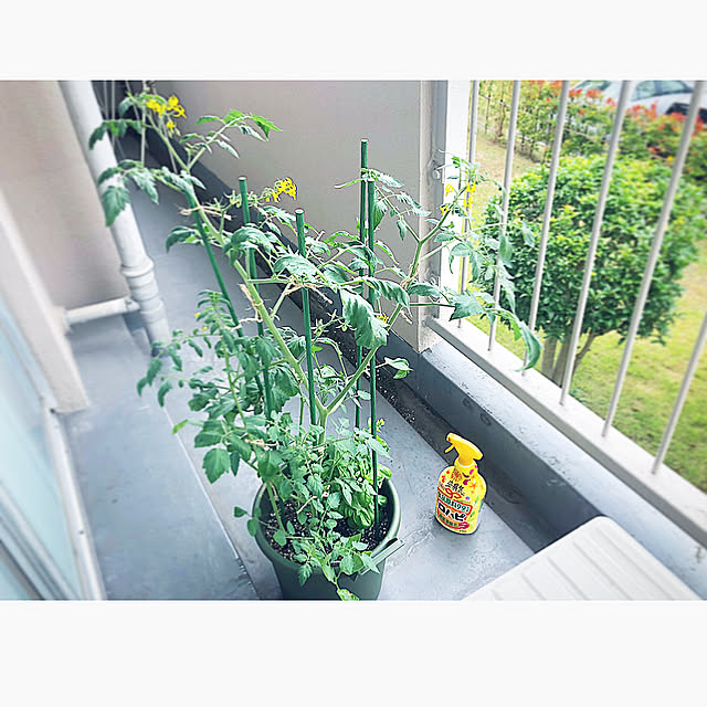 mikabom5さんの実例写真