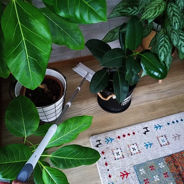 yukunさんの部屋