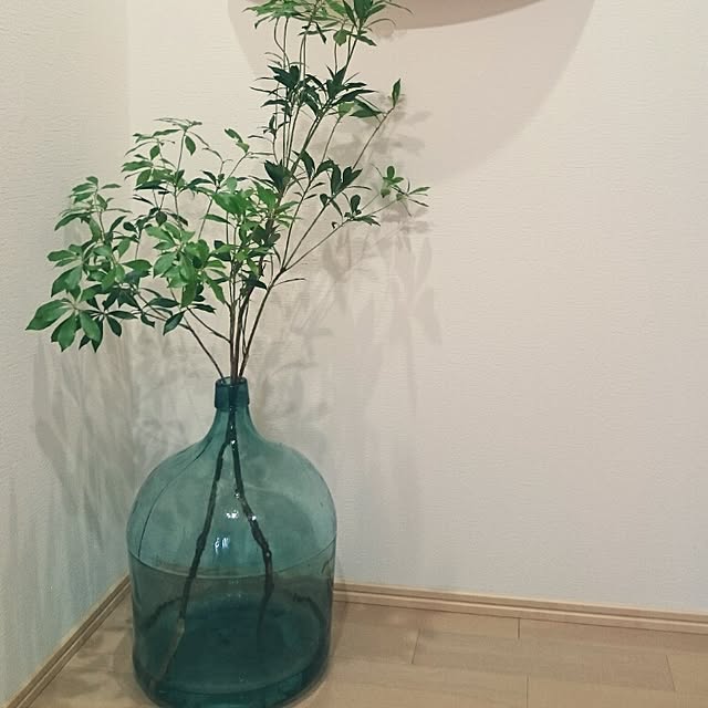 yaikoさんの実例写真